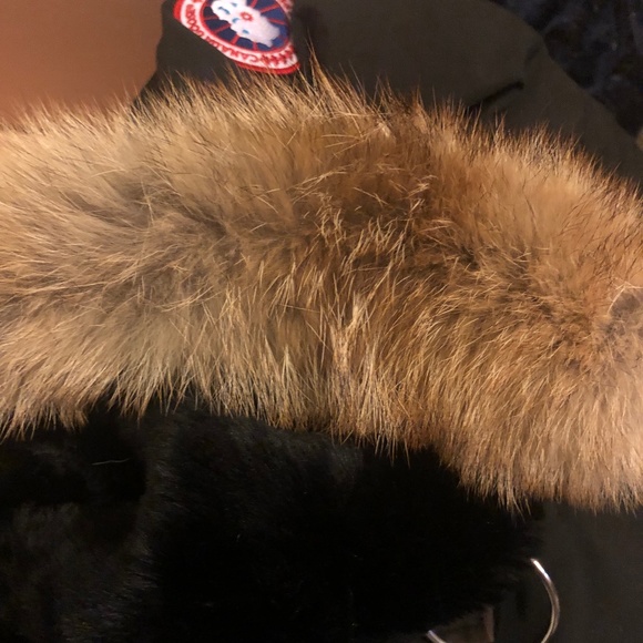 Canada Goose Mid-Lenght - Picture 1 of 7